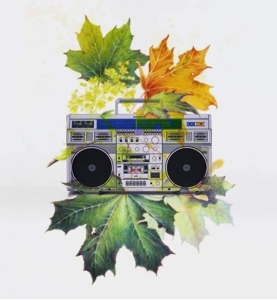 Read more about the article Treba Mi Bass: Sunday after, autumn edition