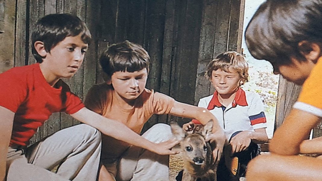 Read more about the article Godišnjica premijere dječje serije Jelenko Obrada Gluščevića