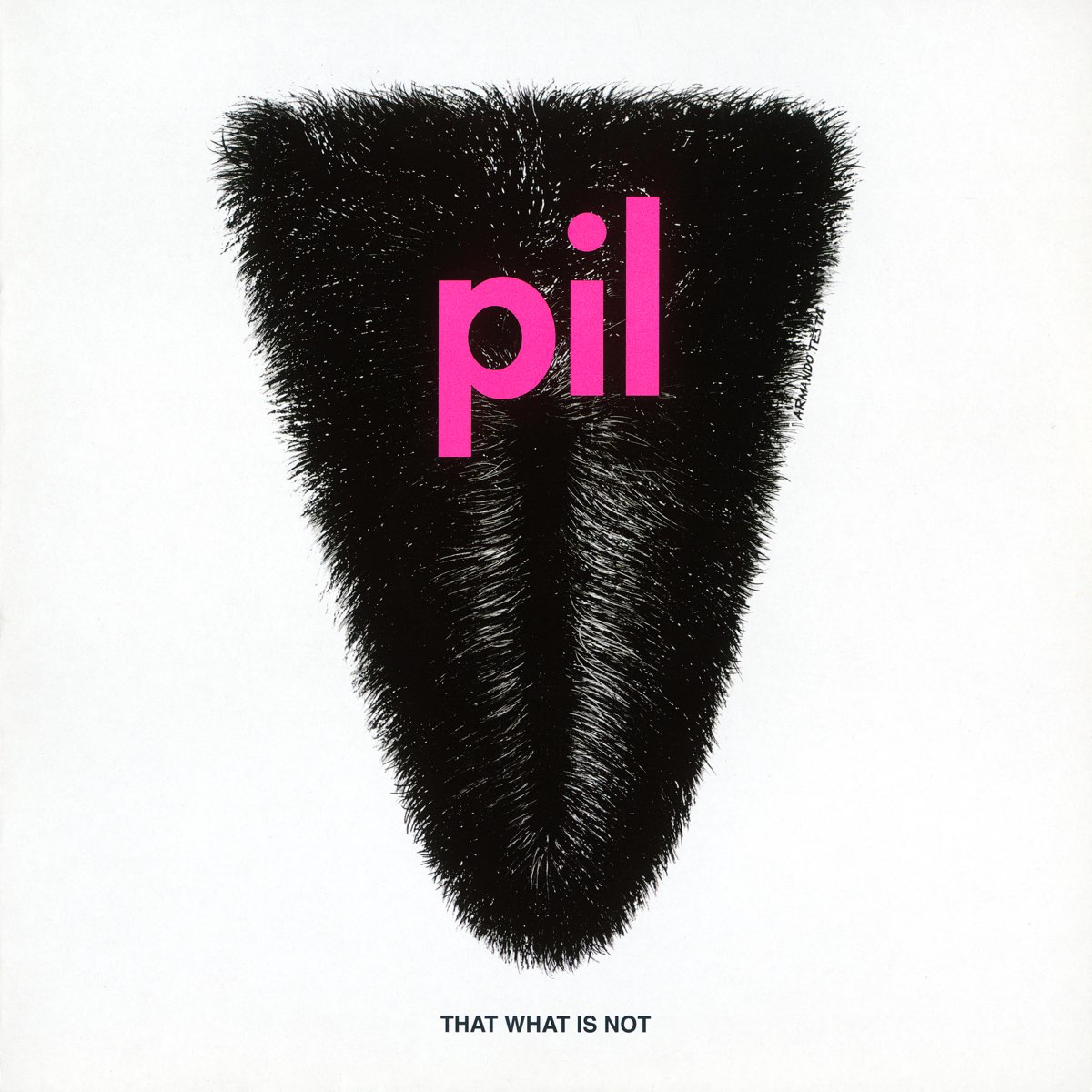Read more about the article Godišnjica objavljivanja albuma That What Is Not grupe Public Image Ltd.