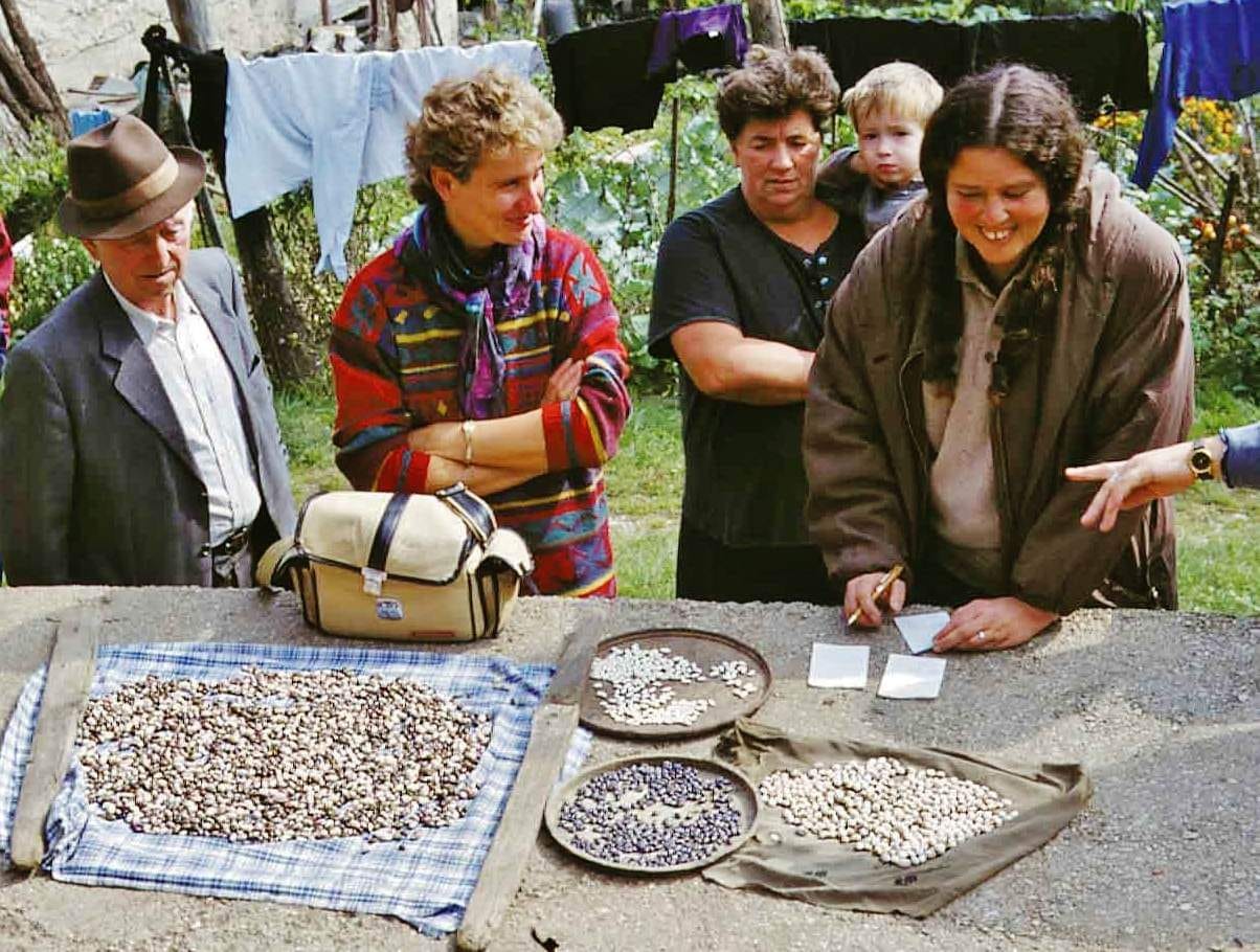 Read more about the article Sjemenarenje kroz prošlost, sadašnjost, budućnost…
