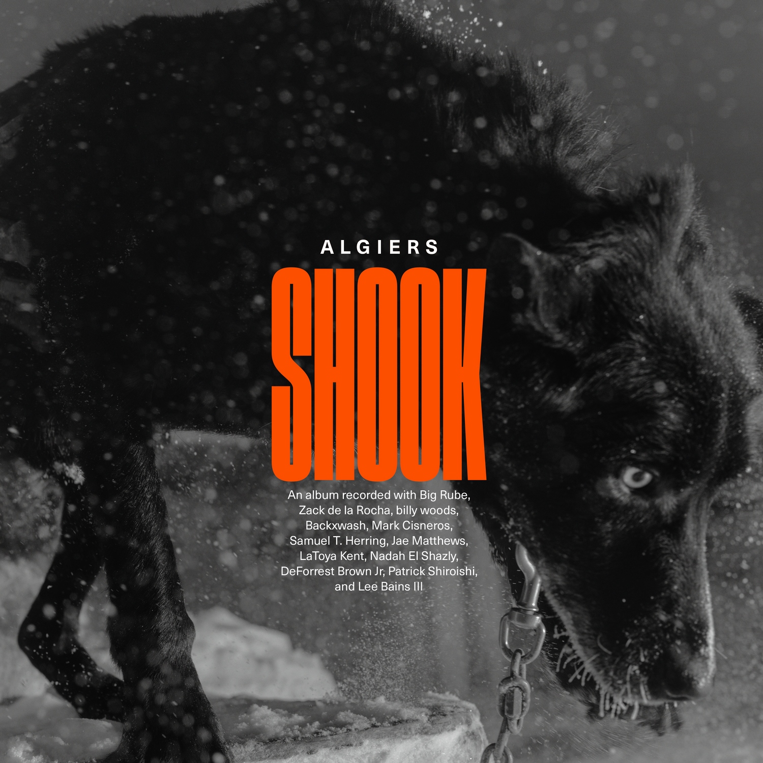 Read more about the article Sastav Algiers objavio respektabilan četvrti album Shook