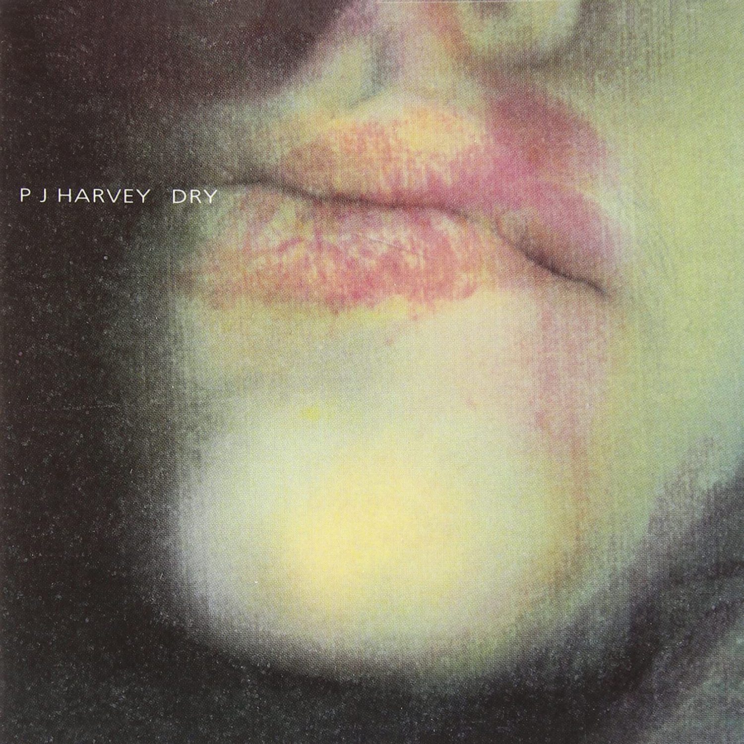Read more about the article Godišnjica objavljivanja debi-albuma Dry glazbenice PJ Harvey