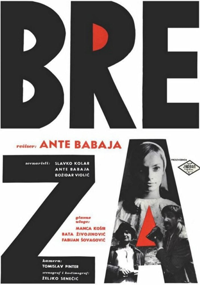 Read more about the article Godišnjica premijere filma Breza redatelja Ante Babaje