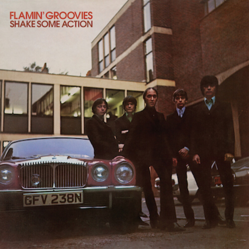Read more about the article Godišnjica objavljivanja albuma Shake Some Action rock-benda Flamin’ Groovies