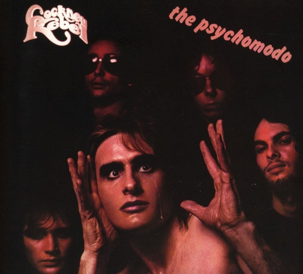 Read more about the article Godišnjica objavljivanja albuma The Psychomodo grupe Cockney Rebel