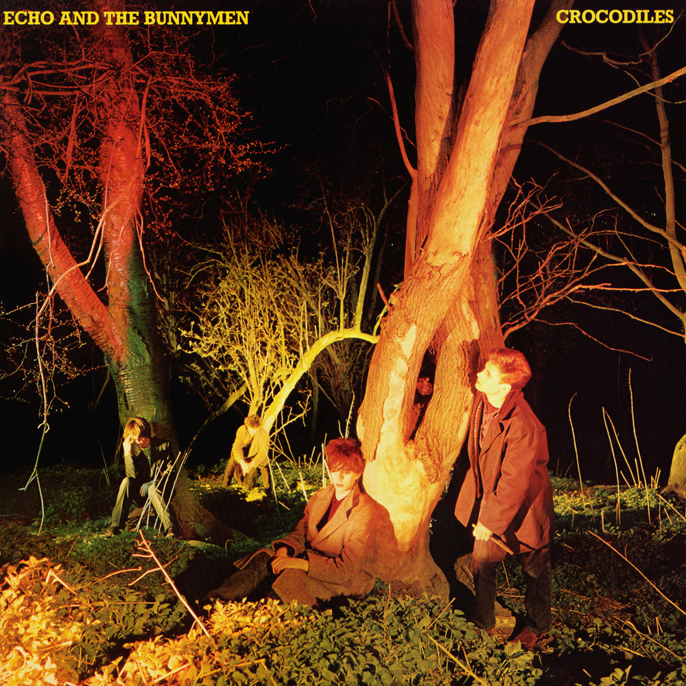 Read more about the article Godišnjica objavljivanja debi-albuma Crocodiles benda Echo & the Bunnymen