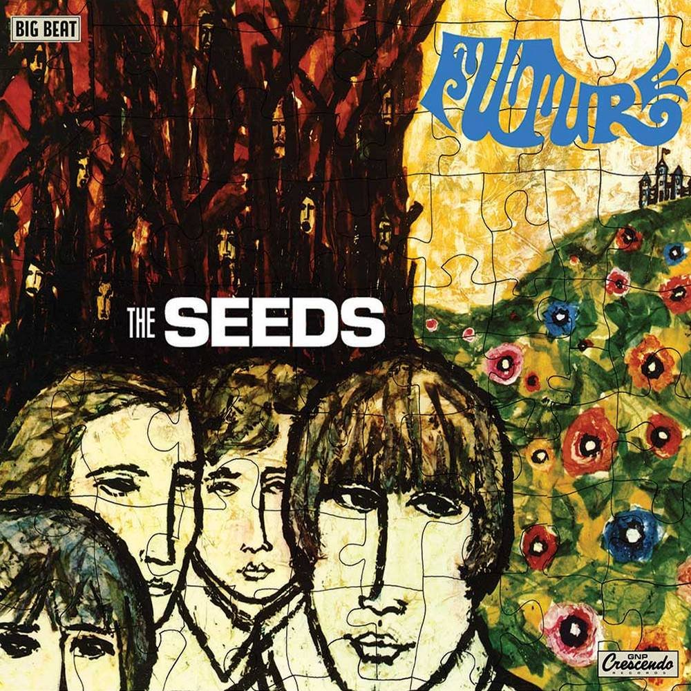 Read more about the article Godišnjica objavljivanja albuma Future američke rock-grupe The Seeds