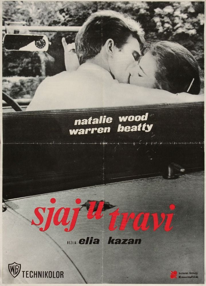 Read more about the article Godišnjica premijere filma Sjaj u travi slavnog Elije Kazana