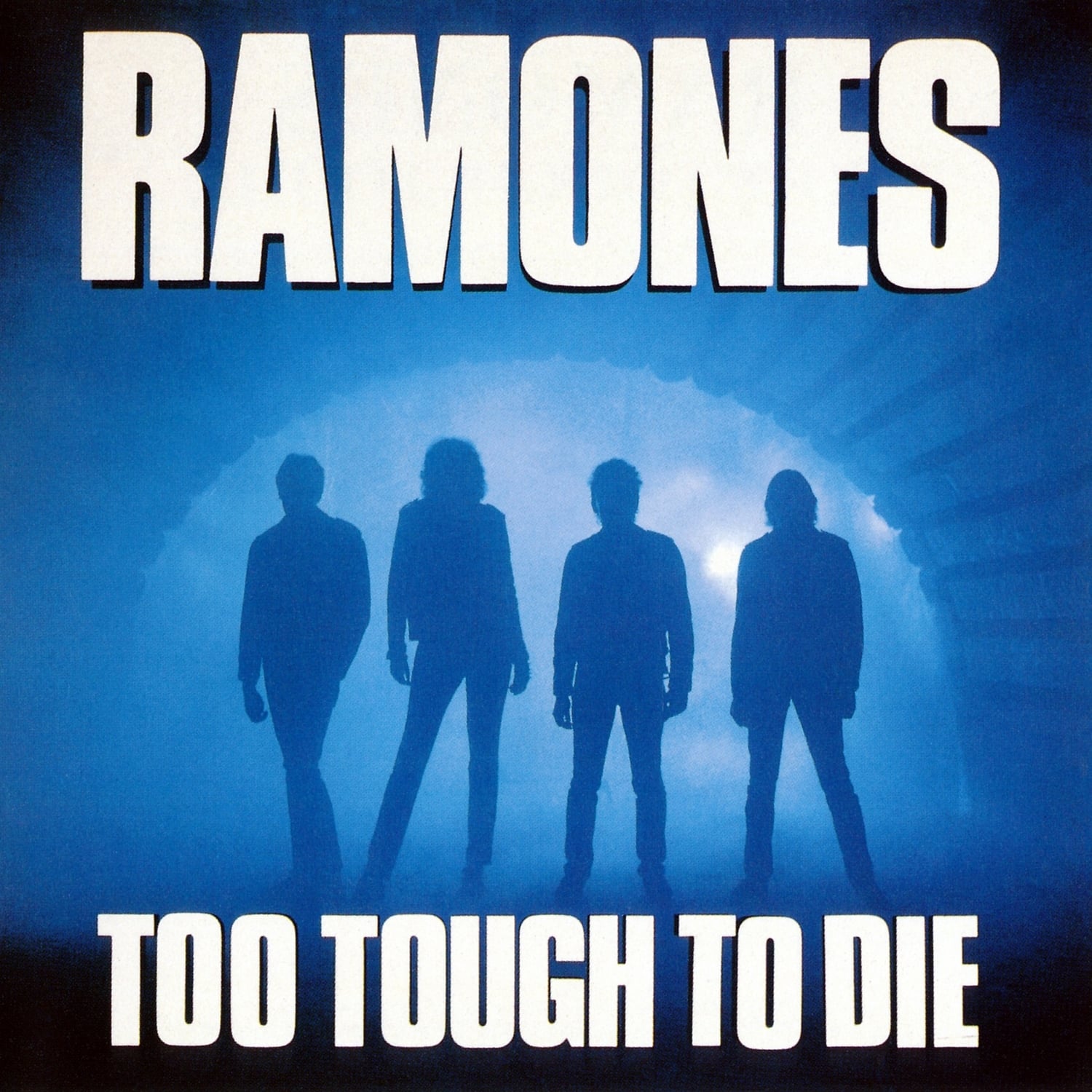 Read more about the article Godišnjica objavljivanja albuma Too Tough to Die punk-rock skupine Ramones