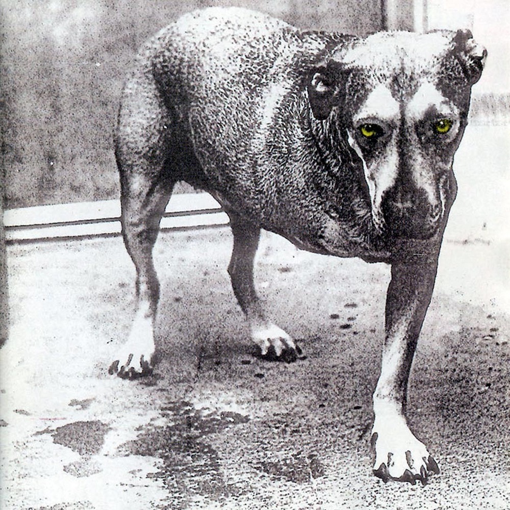 Read more about the article Godišnjica objavljivanja istoimenog albuma grupe Alice in Chains