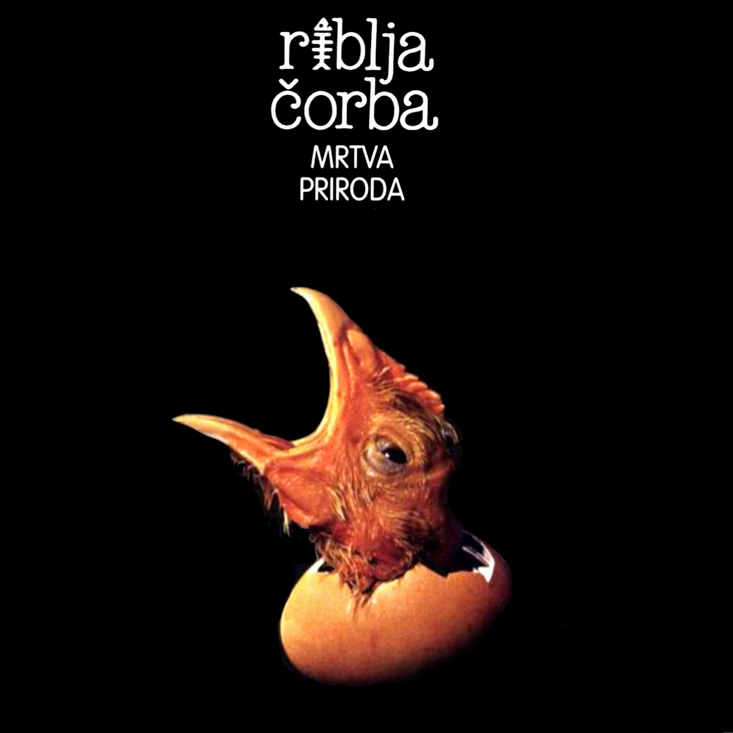Read more about the article Godišnjica objavljivanja albuma Mrtva priroda grupe Riblja čorba